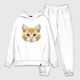 Мужской костюм хлопок OVERSIZE с принтом Кошечка в Новосибирске,  |  | animal | cat | cute | kitty | meow | друг | животные | киска | китти | кот | котенок | котик | кошечка | кошка | лев | леопард | милый | мур | мяу | пантера | питомец | рысь | тигр | улыбка