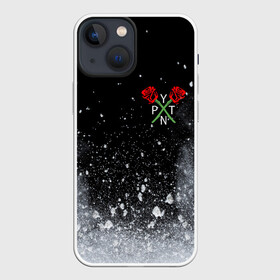 Чехол для iPhone 13 mini с принтом PAYTON MOORMEIER   ТИКТОК в Новосибирске,  |  | payton moormeier | tiktok | блогер | пейтон | пейтон моормиер | тикток | тиктокер | ютубер