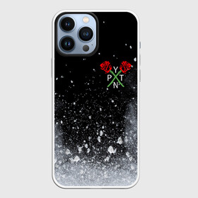 Чехол для iPhone 13 Pro Max с принтом PAYTON MOORMEIER   ТИКТОК в Новосибирске,  |  | payton moormeier | tiktok | блогер | пейтон | пейтон моормиер | тикток | тиктокер | ютубер