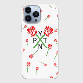Чехол для iPhone 13 Pro Max с принтом PAYTON MOORMEIER   ТИКТОК в Новосибирске,  |  | payton moormeier | tiktok | блогер | пейтон | пейтон моормиер | тикток | тиктокер | ютубер