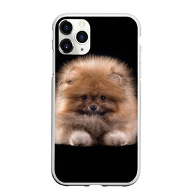 Чехол для iPhone 11 Pro матовый с принтом Рыжий Шпиц в Новосибирске, Силикон |  | Тематика изображения на принте: детская | женская | купить | мужская | пес | рисунки щенков | рыжий | с принтом | с собаками | с собакой | со шпицами | со щенком | собака | собаки | шпиц | щенок