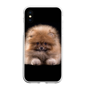 Чехол для iPhone XS Max матовый с принтом Рыжий Шпиц в Новосибирске, Силикон | Область печати: задняя сторона чехла, без боковых панелей | Тематика изображения на принте: детская | женская | купить | мужская | пес | рисунки щенков | рыжий | с принтом | с собаками | с собакой | со шпицами | со щенком | собака | собаки | шпиц | щенок