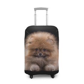 Чехол для чемодана 3D с принтом Рыжий Шпиц в Новосибирске, 86% полиэфир, 14% спандекс | двустороннее нанесение принта, прорези для ручек и колес | детская | женская | купить | мужская | пес | рисунки щенков | рыжий | с принтом | с собаками | с собакой | со шпицами | со щенком | собака | собаки | шпиц | щенок