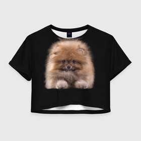 Женская футболка Crop-top 3D с принтом Рыжий Шпиц в Новосибирске, 100% полиэстер | круглая горловина, длина футболки до линии талии, рукава с отворотами | Тематика изображения на принте: детская | женская | купить | мужская | пес | рисунки щенков | рыжий | с принтом | с собаками | с собакой | со шпицами | со щенком | собака | собаки | шпиц | щенок