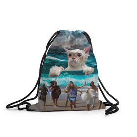 Рюкзак-мешок 3D с принтом Морской Кошак в Новосибирске, 100% полиэстер | плотность ткани — 200 г/м2, размер — 35 х 45 см; лямки — толстые шнурки, застежка на шнуровке, без карманов и подкладки | cat | mem | mems | вода | волны | кот | котейка | котик | кошак | кошка | мем | мем с котом | мемы | мемы с котом | мокрый кот | море | морской кот | морской кошак | облака | океан | прикол | приколы | тучи | шторм