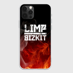 Чехол для iPhone 12 Pro Max с принтом LIMP BIZKIT в Новосибирске, Силикон |  | dj lethal | limp bizkit | rock | джон отто | лимп бизкит | майк смит | музыка | роб уотерс | рок | сэм риверс | терри бальзамо | уэс борланд | фред дёрст