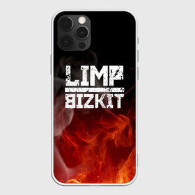 Чехол для iPhone 12 Pro Max с принтом LIMP BIZKIT в Новосибирске, Силикон |  | Тематика изображения на принте: dj lethal | limp bizkit | rock | джон отто | лимп бизкит | майк смит | музыка | роб уотерс | рок | сэм риверс | терри бальзамо | уэс борланд | фред дёрст