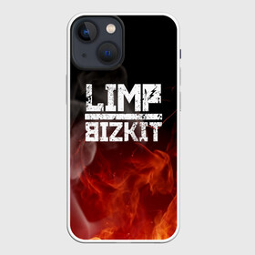 Чехол для iPhone 13 mini с принтом LIMP BIZKIT в Новосибирске,  |  | dj lethal | limp bizkit | rock | джон отто | лимп бизкит | майк смит | музыка | роб уотерс | рок | сэм риверс | терри бальзамо | уэс борланд | фред дёрст