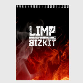 Скетчбук с принтом LIMP BIZKIT в Новосибирске, 100% бумага
 | 48 листов, плотность листов — 100 г/м2, плотность картонной обложки — 250 г/м2. Листы скреплены сверху удобной пружинной спиралью | dj lethal | limp bizkit | rock | джон отто | лимп бизкит | майк смит | музыка | роб уотерс | рок | сэм риверс | терри бальзамо | уэс борланд | фред дёрст