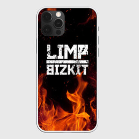 Чехол для iPhone 12 Pro Max с принтом LIMP BIZKIT в Новосибирске, Силикон |  | Тематика изображения на принте: dj lethal | limp bizkit | rock | джон отто | лимп бизкит | майк смит | музыка | роб уотерс | рок | сэм риверс | терри бальзамо | уэс борланд | фред дёрст