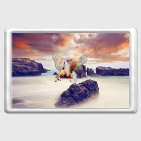 Магнит 45*70 с принтом Sea Sunset Horse в Новосибирске, Пластик | Размер: 78*52 мм; Размер печати: 70*45 | вечернее небо | закат | конь | крылатый | крылья | легенды | летающий | лошадь | мистический | мифология | мифы | море | морской | облака | облачность | пегас | плед | погода | подушка | скалы | сумка