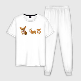 Мужская пижама хлопок с принтом Корги. в Новосибирске, 100% хлопок | брюки и футболка прямого кроя, без карманов, на брюках мягкая резинка на поясе и по низу штанин
 | dogs | style | животные | корги | милые собаки | мимимишность | минимализм | модные | подарок | прикольные картинки | пушистая собака | собака | собаки | стиль | щенки