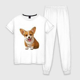 Женская пижама хлопок с принтом Корги в Новосибирске, 100% хлопок | брюки и футболка прямого кроя, без карманов, на брюках мягкая резинка на поясе и по низу штанин | dogs | style | животные | корги | милые собаки | мимимишность | минимализм | модные | подарок | прикольные картинки | пушистая собака | собака | собаки | стиль | щенки