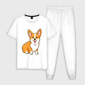Мужская пижама хлопок с принтом Корги в Новосибирске, 100% хлопок | брюки и футболка прямого кроя, без карманов, на брюках мягкая резинка на поясе и по низу штанин
 | dog. корги | dogs | весёлые собачки | милые собачки | прикольные собачки | собаки | собачки