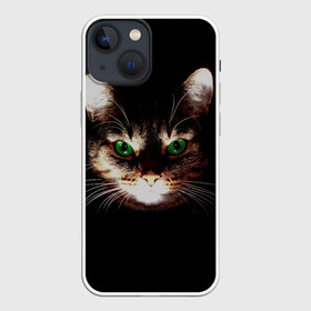 Чехол для iPhone 13 mini с принтом Зеленоглазый кот в Новосибирске,  |  | зеленые глаза | кот | котик | кошак | кошатнику | кошатнице | кошачий портрет | кошка | кошка с зелеными глазами | кружка | любительнице ко | любителю кошек | подушка | полосатый кот | портрет кота