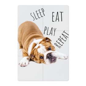 Магнитный плакат 2Х3 с принтом Sleep Eat Play Repeat (Бульдог) в Новосибирске, Полимерный материал с магнитным слоем | 6 деталей размером 9*9 см | Тематика изображения на принте: bulldog | dog | puppy | sleep eat play repeat | английский бульдог | бульдог | бульдог английский | веселая собака | веселый щенок | игривый щенок | мысли с | мысли щенка | рыжая собака | рыжий щенок | собачья жизнь
