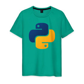 Мужская футболка хлопок с принтом Python в Новосибирске, 100% хлопок | прямой крой, круглый вырез горловины, длина до линии бедер, слегка спущенное плечо. | Тематика изображения на принте: code | codes | pyhton | код | коды | питон | программирование | язык программирования