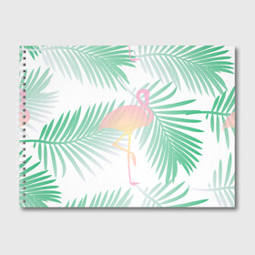 Альбом для рисования с принтом Фламинго в джунглях в Новосибирске, 100% бумага
 | матовая бумага, плотность 200 мг. | Тематика изображения на принте: арт | джунгли | лес | леса | пальма | пальмы | папоротник | розовый фламинго | фламинго