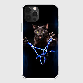 Чехол для iPhone 12 Pro Max с принтом Грозовой кошак(громовержец) в Новосибирске, Силикон |  | Тематика изображения на принте: грозовой | громовержец | кот | кошак | молнии | разряды | черный
