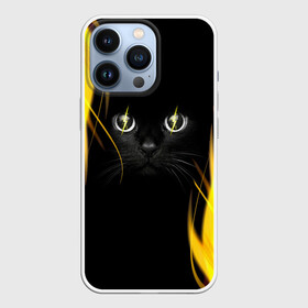 Чехол для iPhone 13 Pro с принтом Грозовой кошак в Новосибирске,  |  | глаза | грозовой | кот | кошак | молнии | пламя | разряды | черный