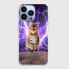 Чехол для iPhone 13 Pro с принтом Котушка Теслы в Новосибирске,  |  | cat | lightning | lightning cat | tesla | арт с котом | грозовой кошак | катушка теслы | кот | кот мем | котейка | котушка теслы | котяра | кошак | кошка | мем с котом | молнии | тесла