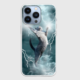 Чехол для iPhone 13 Pro с принтом Грозовой кошак. в Новосибирске,  |  | cat | грозовой кот | грозовой кошак | животные | звери | кот | котики | кошак | молния