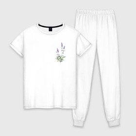Женская пижама хлопок с принтом Lavanda в Новосибирске, 100% хлопок | брюки и футболка прямого кроя, без карманов, на брюках мягкая резинка на поясе и по низу штанин | лаванда | лавандовые цветы | милота | нежность | цветочки | цветы