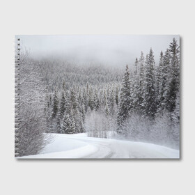 Альбом для рисования с принтом Зимняя природа в Новосибирске, 100% бумага
 | матовая бумага, плотность 200 мг. | Тематика изображения на принте: winter | белый | зима | искусство | лес | природа | снег | снежная | текстура | текстуры