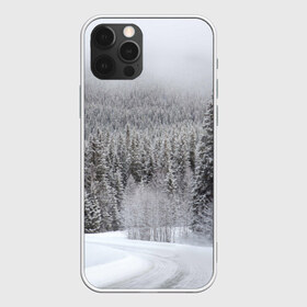 Чехол для iPhone 12 Pro Max с принтом Зимняя природа в Новосибирске, Силикон |  | Тематика изображения на принте: winter | белый | зима | искусство | лес | природа | снег | снежная | текстура | текстуры