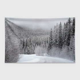 Флаг-баннер с принтом Зимняя природа в Новосибирске, 100% полиэстер | размер 67 х 109 см, плотность ткани — 95 г/м2; по краям флага есть четыре люверса для крепления | winter | белый | зима | искусство | лес | природа | снег | снежная | текстура | текстуры