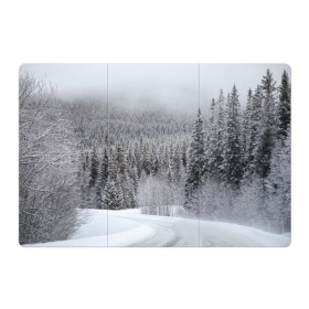 Магнитный плакат 3Х2 с принтом Зимняя природа в Новосибирске, Полимерный материал с магнитным слоем | 6 деталей размером 9*9 см | winter | белый | зима | искусство | лес | природа | снег | снежная | текстура | текстуры