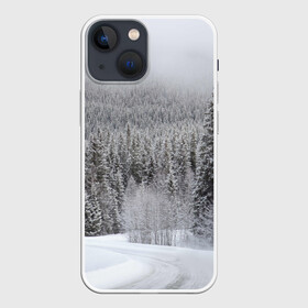 Чехол для iPhone 13 mini с принтом Зимняя природа в Новосибирске,  |  | Тематика изображения на принте: winter | белый | зима | искусство | лес | природа | снег | снежная | текстура | текстуры
