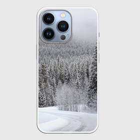 Чехол для iPhone 13 Pro с принтом Зимняя природа в Новосибирске,  |  | winter | белый | зима | искусство | лес | природа | снег | снежная | текстура | текстуры