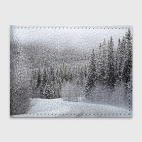 Обложка для студенческого билета с принтом Зимняя природа в Новосибирске, натуральная кожа | Размер: 11*8 см; Печать на всей внешней стороне | winter | белый | зима | искусство | лес | природа | снег | снежная | текстура | текстуры