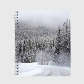 Тетрадь с принтом Зимняя природа в Новосибирске, 100% бумага | 48 листов, плотность листов — 60 г/м2, плотность картонной обложки — 250 г/м2. Листы скреплены сбоку удобной пружинной спиралью. Уголки страниц и обложки скругленные. Цвет линий — светло-серый
 | Тематика изображения на принте: winter | белый | зима | искусство | лес | природа | снег | снежная | текстура | текстуры