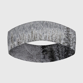 Повязка на голову 3D с принтом Зимняя природа в Новосибирске,  |  | Тематика изображения на принте: winter | белый | зима | искусство | лес | природа | снег | снежная | текстура | текстуры