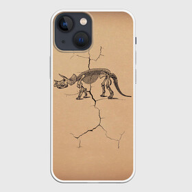 Чехол для iPhone 13 mini с принтом Triceratops skeleton в Новосибирске,  |  | dinosaur | extinct | primal | skeleton | triceratops | вымерший | динозавр | первобытный | скелет | трицератопс