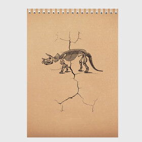 Скетчбук с принтом Triceratops skeleton в Новосибирске, 100% бумага
 | 48 листов, плотность листов — 100 г/м2, плотность картонной обложки — 250 г/м2. Листы скреплены сверху удобной пружинной спиралью | Тематика изображения на принте: dinosaur | extinct | primal | skeleton | triceratops | вымерший | динозавр | первобытный | скелет | трицератопс