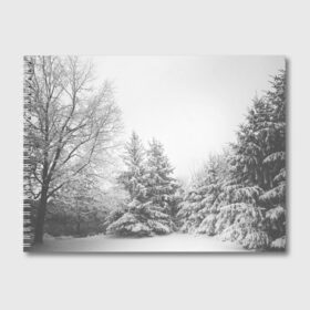 Альбом для рисования с принтом Winter Storm в Новосибирске, 100% бумага
 | матовая бумага, плотность 200 мг. | Тематика изображения на принте: winter | белый | деревья | ели | ель | заснеженный | зима | зимний | искусство | лес | природа | снег | снежная | текстура | текстуры | шторм