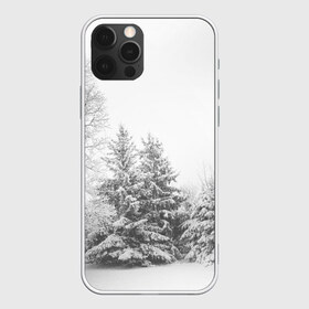Чехол для iPhone 12 Pro Max с принтом Winter Storm в Новосибирске, Силикон |  | Тематика изображения на принте: winter | белый | деревья | ели | ель | заснеженный | зима | зимний | искусство | лес | природа | снег | снежная | текстура | текстуры | шторм