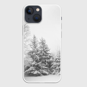 Чехол для iPhone 13 mini с принтом Winter Storm в Новосибирске,  |  | winter | белый | деревья | ели | ель | заснеженный | зима | зимний | искусство | лес | природа | снег | снежная | текстура | текстуры | шторм