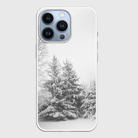 Чехол для iPhone 13 Pro с принтом Winter Storm в Новосибирске,  |  | winter | белый | деревья | ели | ель | заснеженный | зима | зимний | искусство | лес | природа | снег | снежная | текстура | текстуры | шторм