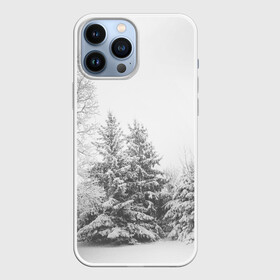 Чехол для iPhone 13 Pro Max с принтом Winter Storm в Новосибирске,  |  | winter | белый | деревья | ели | ель | заснеженный | зима | зимний | искусство | лес | природа | снег | снежная | текстура | текстуры | шторм