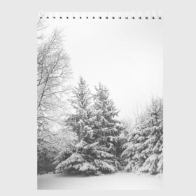 Скетчбук с принтом Winter Storm в Новосибирске, 100% бумага
 | 48 листов, плотность листов — 100 г/м2, плотность картонной обложки — 250 г/м2. Листы скреплены сверху удобной пружинной спиралью | winter | белый | деревья | ели | ель | заснеженный | зима | зимний | искусство | лес | природа | снег | снежная | текстура | текстуры | шторм