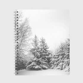 Тетрадь с принтом Winter Storm в Новосибирске, 100% бумага | 48 листов, плотность листов — 60 г/м2, плотность картонной обложки — 250 г/м2. Листы скреплены сбоку удобной пружинной спиралью. Уголки страниц и обложки скругленные. Цвет линий — светло-серый
 | Тематика изображения на принте: winter | белый | деревья | ели | ель | заснеженный | зима | зимний | искусство | лес | природа | снег | снежная | текстура | текстуры | шторм