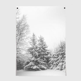 Постер с принтом Winter Storm в Новосибирске, 100% бумага
 | бумага, плотность 150 мг. Матовая, но за счет высокого коэффициента гладкости имеет небольшой блеск и дает на свету блики, но в отличии от глянцевой бумаги не покрыта лаком | winter | белый | деревья | ели | ель | заснеженный | зима | зимний | искусство | лес | природа | снег | снежная | текстура | текстуры | шторм