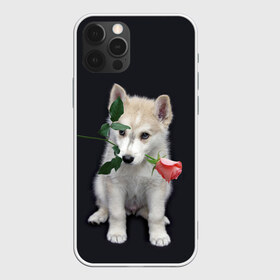 Чехол для iPhone 12 Pro Max с принтом Щенок в подарок в Новосибирске, Силикон |  | 8 марта щенок | husky | siberian husky | белый щенок | лайка | собака на день рождения | собака с розой | собака с цветком | хаски | щенок | щенок 8 марта | щенок лайки | щенок на 8 марта | щенок на день рождения