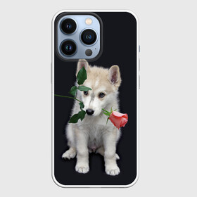 Чехол для iPhone 13 Pro с принтом Щенок в подарок в Новосибирске,  |  | 8 марта щенок | husky | siberian husky | белый щенок | лайка | собака на день рождения | собака с розой | собака с цветком | хаски | щенок | щенок 8 марта | щенок лайки | щенок на 8 марта | щенок на день рождения