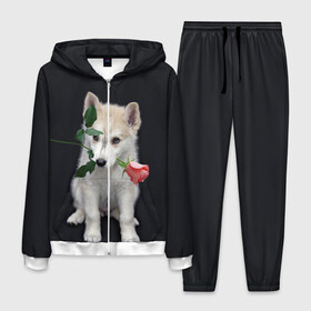 Мужской костюм 3D с принтом Щенок в подарок в Новосибирске, 100% полиэстер | Манжеты и пояс оформлены тканевой резинкой, двухслойный капюшон со шнурком для регулировки, карманы спереди | Тематика изображения на принте: 8 марта щенок | husky | siberian husky | белый щенок | лайка | собака на день рождения | собака с розой | собака с цветком | хаски | щенок | щенок 8 марта | щенок лайки | щенок на 8 марта | щенок на день рождения