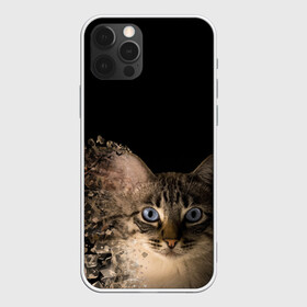 Чехол для iPhone 12 Pro с принтом Disintegrating Cat в Новосибирске, силикон | область печати: задняя сторона чехла, без боковых панелей | cat | азулес | атомный кот | голубоглазая кошка | голубоглазый кот | голубоглазый котик | кот | кот к | кот распадающийся на атомы | кот с голубыми глазами | котик | котэ | кошак | кошачий портрет